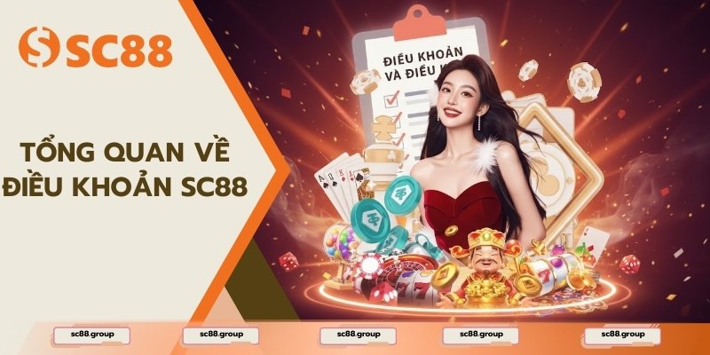 Tổng quan về điều khoản SC88 của nền tảng